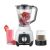 Anex AG-6134 Blender And Grinder